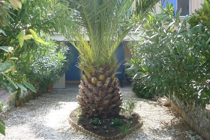 Air-conditioned villa with wifi pool in residence 300 m from the beach