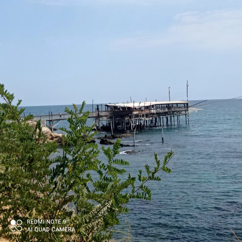 B&B Sul Frantoio