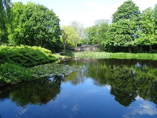 Broersepark