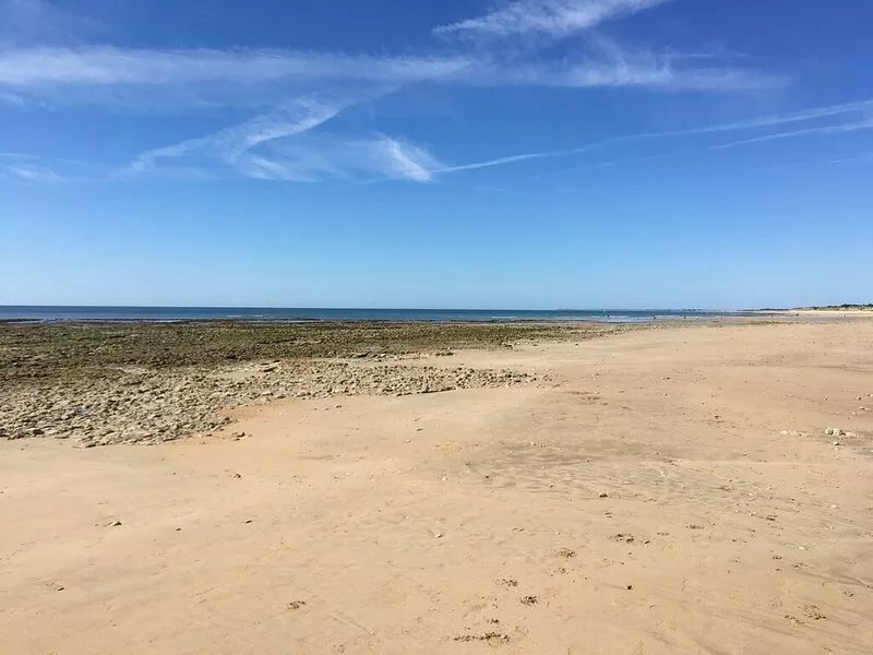 Le Bois Plage En Re: house / villa - 6 rooms - 9/11 persons