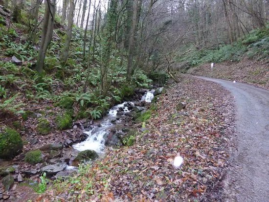 Porlock Scenic Toll Road