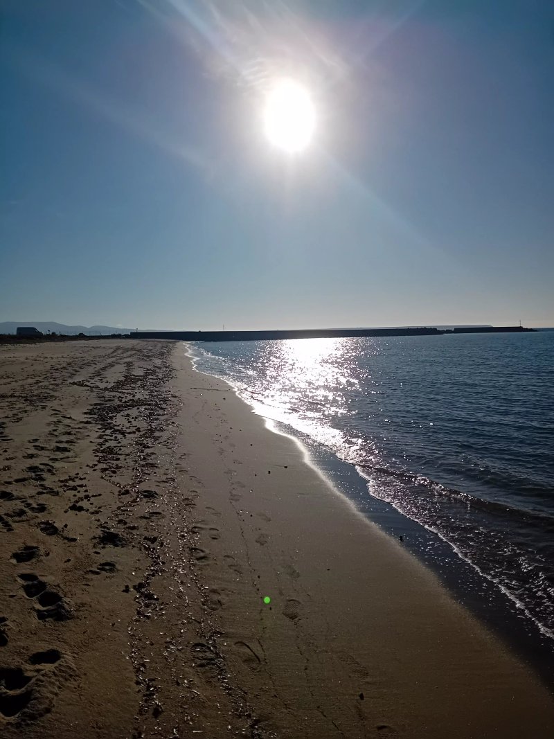 Spiaggia Abarossa Dog Beach