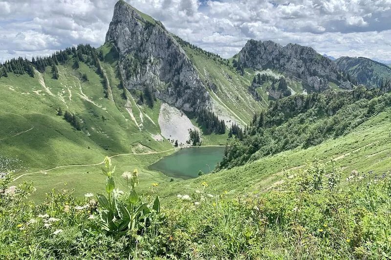Beautiful Chalet in La Chapellle d'Abondance(5 km from Chatel), Portes du Solei