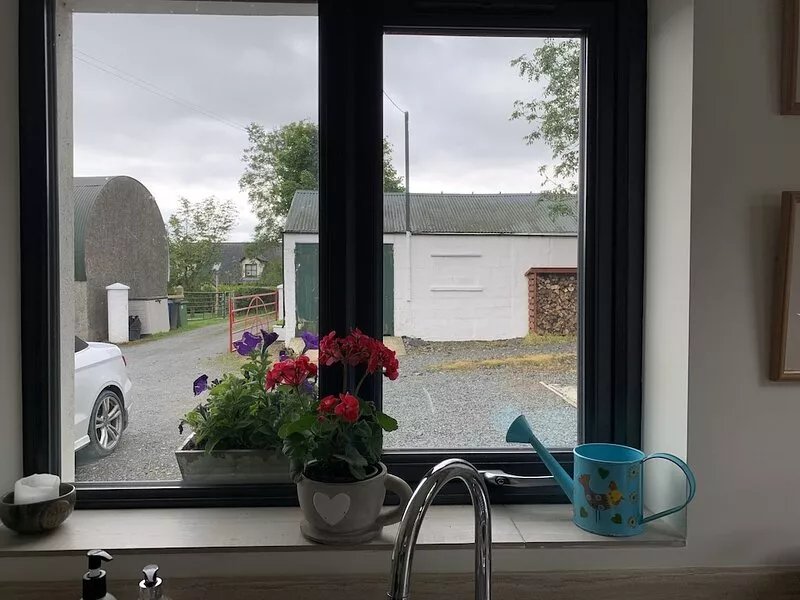 Avoca Farm, peaceful countryside location,  fifteen minutes from Belfast.