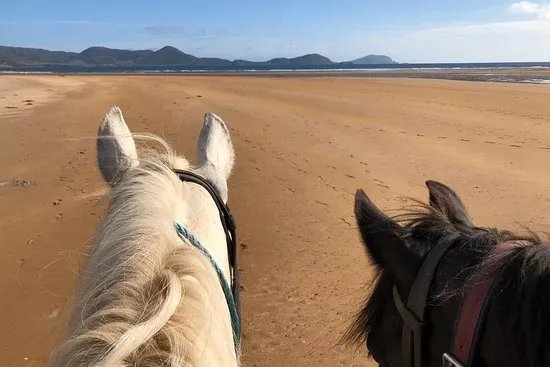 Killarney Riding Stables