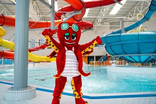 Cardiff International Pool And Gym