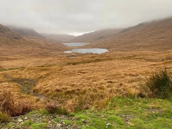 Nature Scotland - Isle of Mull - Wildlife Tours