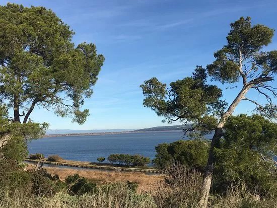 Ile Sainte-Lucie