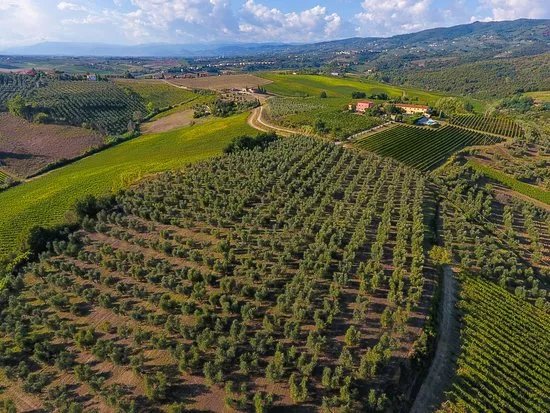 Azienda Agricola Luggiano