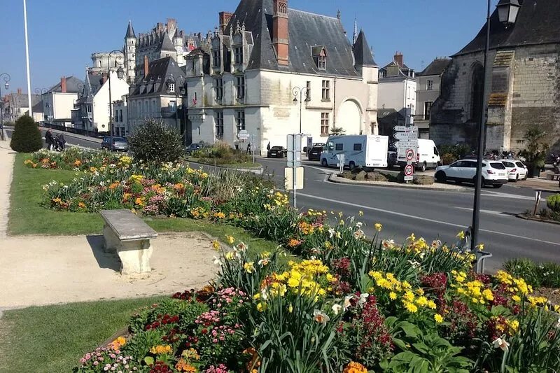 GITE, CHARMING HOUSE CLASSIFIED 3 STARS IN AMBOISE overlooking the Loire