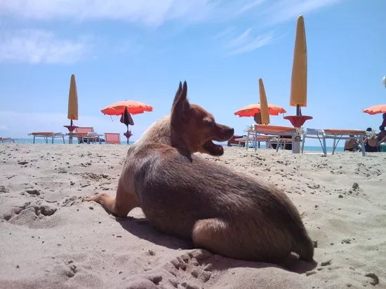 La spiaggia di Pluto