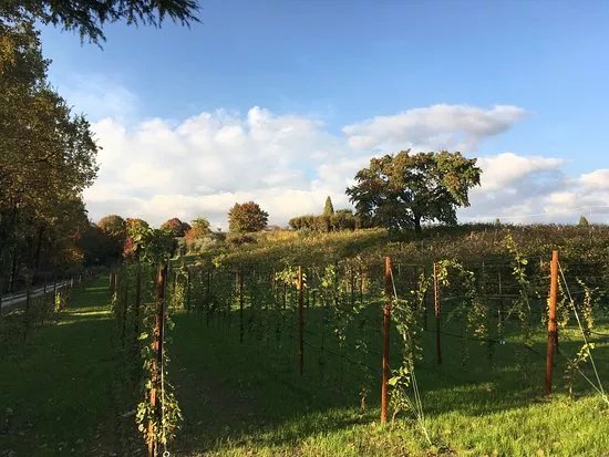Tenuta Baron