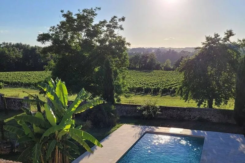 Beautiful estate with swimming pool and wooded grounds