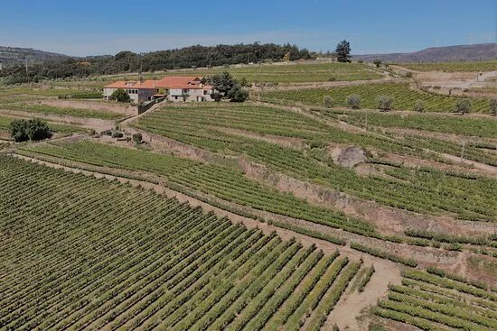 Quinta da Portela de Baixo