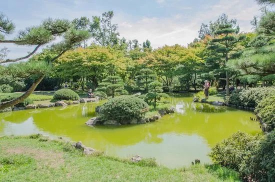 Japanese Garden