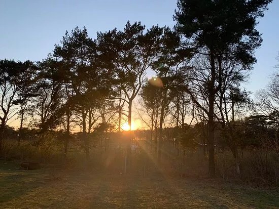 Stiby Backe Naturreservat