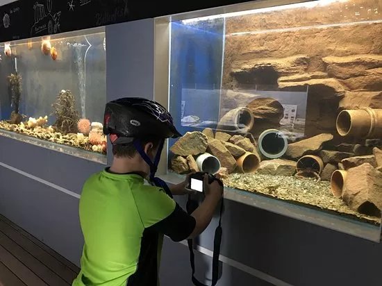 Robertson Museum and Aquarium