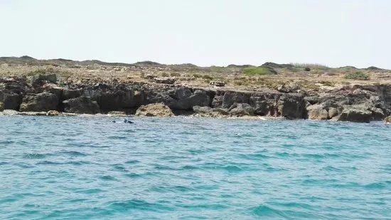 Neas Diving