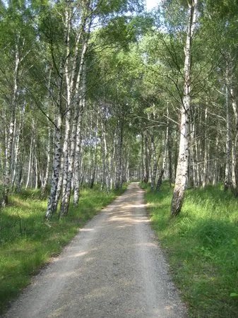 Kalvebod Faelled