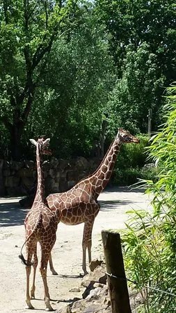 Zoo Osnabruck