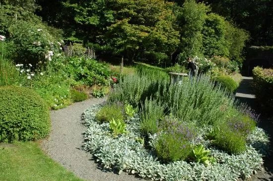 Colby Woodland Garden (National Trust)