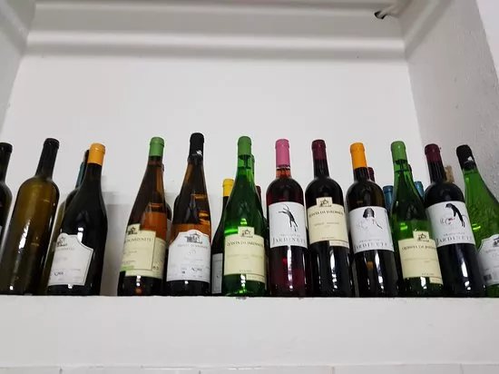 Quinta da Jardinete Vineyard