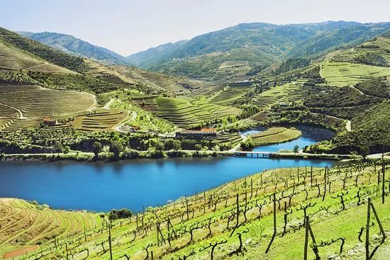 Oporto Road Trips