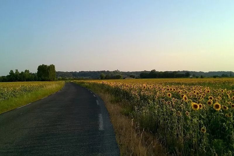 Gîte Riparia, a quarter of an hour from St Emilion, in the heart of the