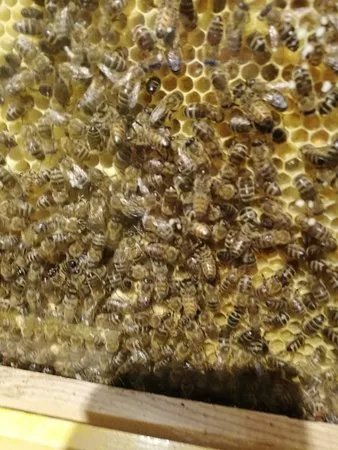 De Wereld Van Kina : De Tuin
