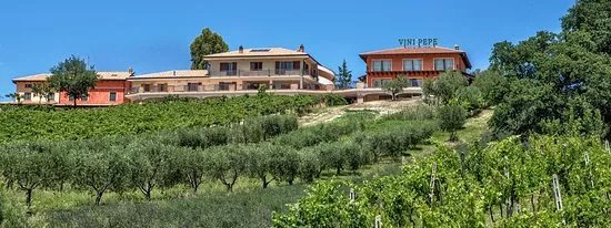 Cantina Emidio Pepe