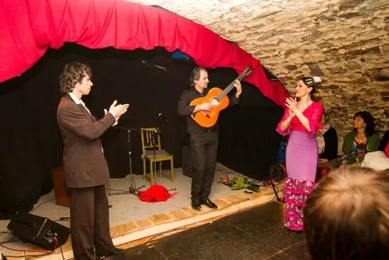 Flamencova Tanecna Skola