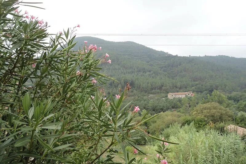 Les COURTINES magnificent MAS- 8pers-Piscine-Calme et Confort-CEVENNES-ARDECHE