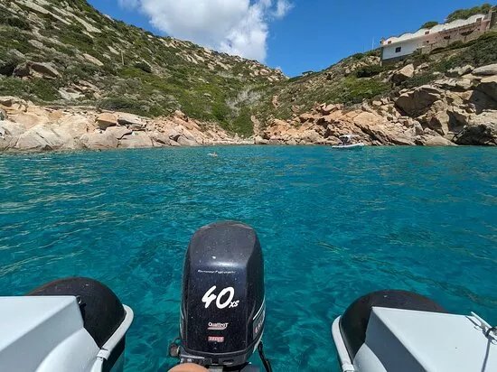 Blue Shark Noleggio Barche