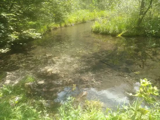 Falkensee