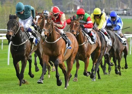 Leicester Racecourse