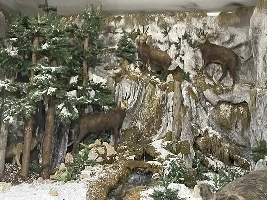 Muzeul Natura Vaii Teleajenului