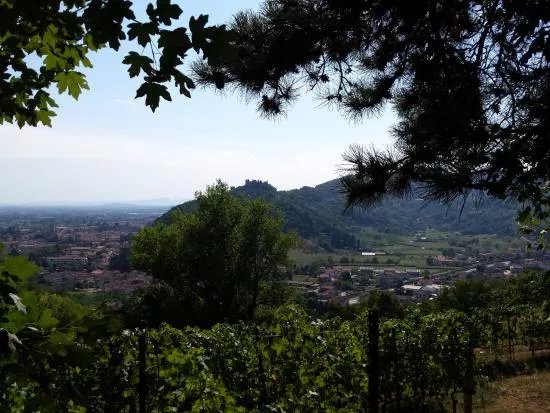 Passeggiata nelle colline di San Benedetto