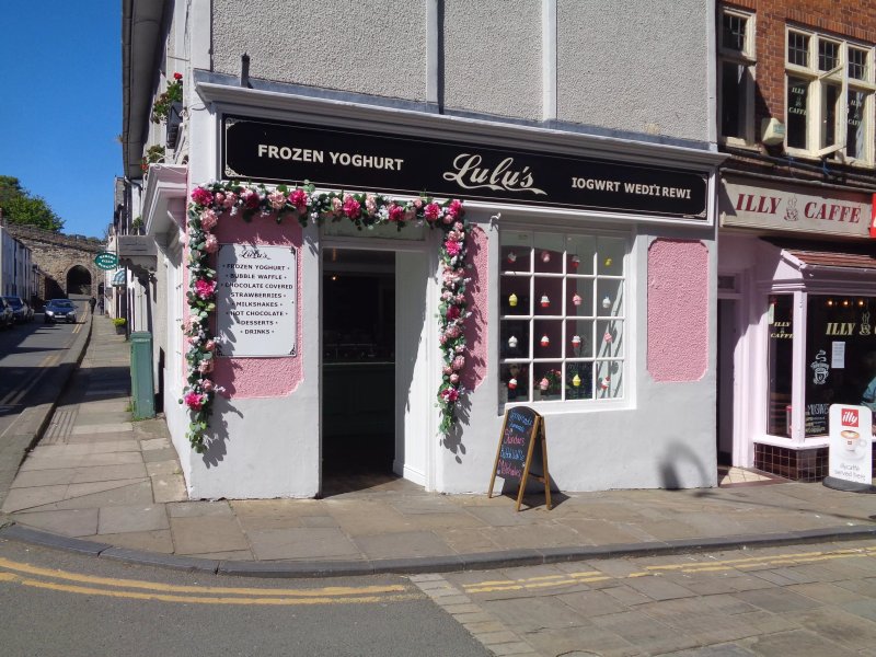Lulu's Frozen Yoghurt