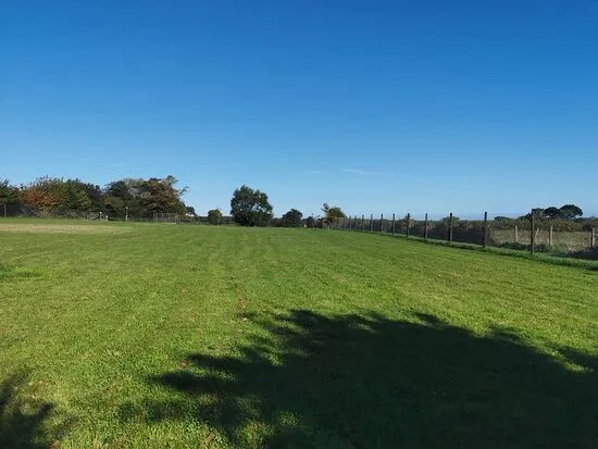 Seaview Dog Meadow