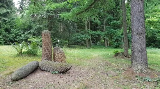 Arboretum Krtiny