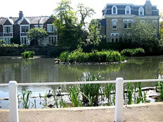 Kew Green