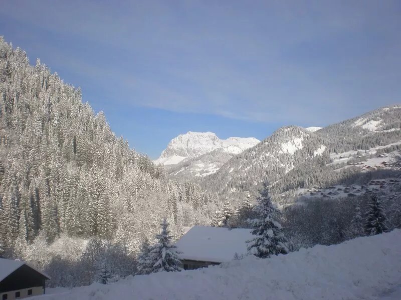 Cosy Ski Chalet Ideal for Families Or Group of Friends. Lovely in Summer Too!
