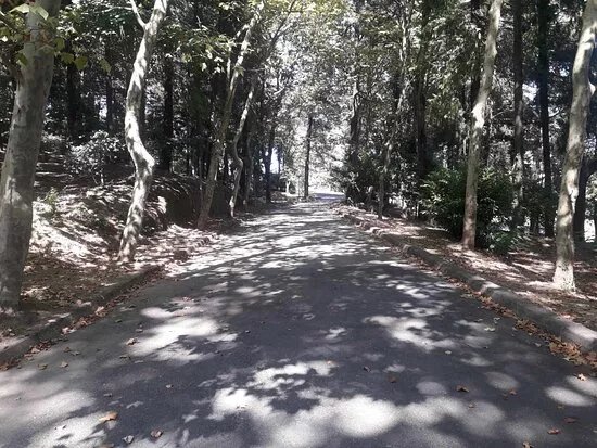Parque da Nossa Senhora dos Milagres