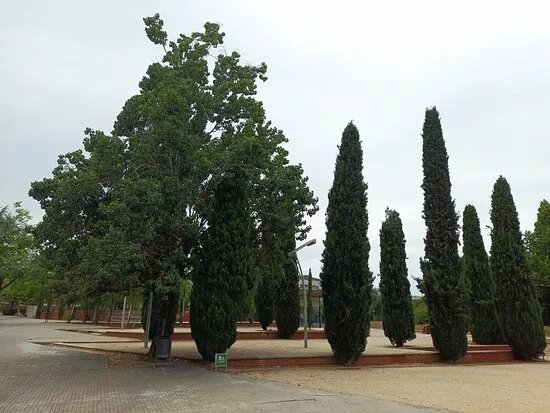 Parc Ramon Barnils