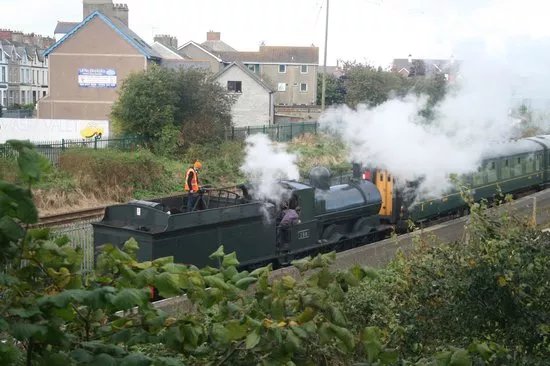 Steam Train Rides