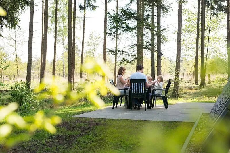 Detached forest villa with dishwasher, located in De Veluwe