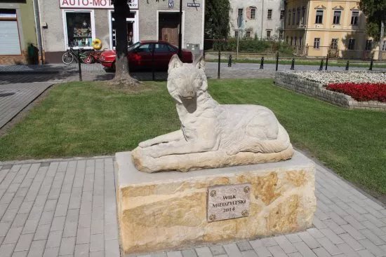 Wolf of Miedzylesie