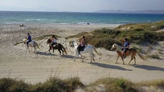The Ranch Kos Horse Riding