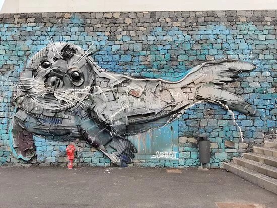 Trash Wall Art Sealion