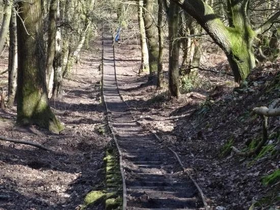Sandstone Trail